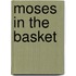 Moses In The Basket