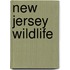 New Jersey Wildlife