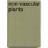 Non-vascular Plants