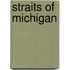 Straits of Michigan
