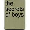 The Secrets of Boys by Hailey Abbott