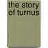 The Story Of Turnus