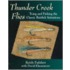 Thunder Creek Flies