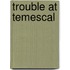 Trouble at Temescal