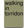 Walking In Torridon door Peter Barton