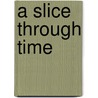 A Slice Through Time door Michael Baillie
