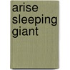 Arise Sleeping Giant door Tammy Gilstrap