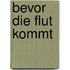Bevor die Flut kommt