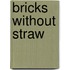 Bricks Without Straw