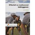 Effectief en motiverend leidinggeven