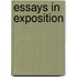 Essays In Exposition