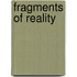 Fragments of Reality