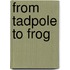 From Tadpole to Frog