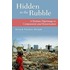 Hidden In The Rubble