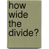 How Wide the Divide? door Stephen E. Robinson