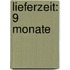 Lieferzeit: 9 Monate