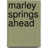 Marley Springs Ahead