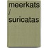 Meerkats / Suricatas