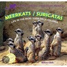 Meerkats / Suricatas by Willow Clark