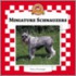 Miniature Schnauzers