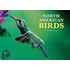 North American Birds