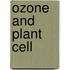 Ozone And Plant Cell