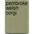 Pembroke Welsh Corgi