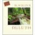 The Duluth Portfolio