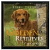 The Golden Retriever door Julie Cairns