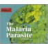 The Malaria Parasite