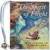 The Spirit of Flight by Rene J. Smith