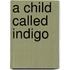 A Child Called Indigo