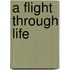 A Flight Through Life
