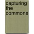 Capturing the Commons