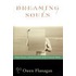 Dreaming Souls Phms C