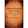 Emancipating New York door David Nathaniel Gellman