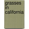 Grasses In California by Beecher Crampton