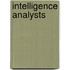 Intelligence Analysts