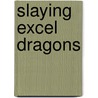 Slaying Excel Dragons by Mike Girvin
