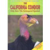 The California Condor by Alison Imbriaco