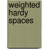 Weighted Hardy Spaces