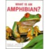 What Is an Amphibian?