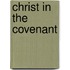 Christ In The Covenant