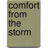 Comfort from the Storm door Bobbye R. Terry