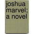 Joshua Marvel; A Novel