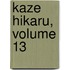 Kaze Hikaru, Volume 13