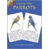 Learning About Parrots