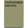 Multivariable Calculus door Margaret N. Freije