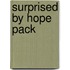 Surprised by Hope Pack