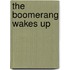 The Boomerang Wakes Up